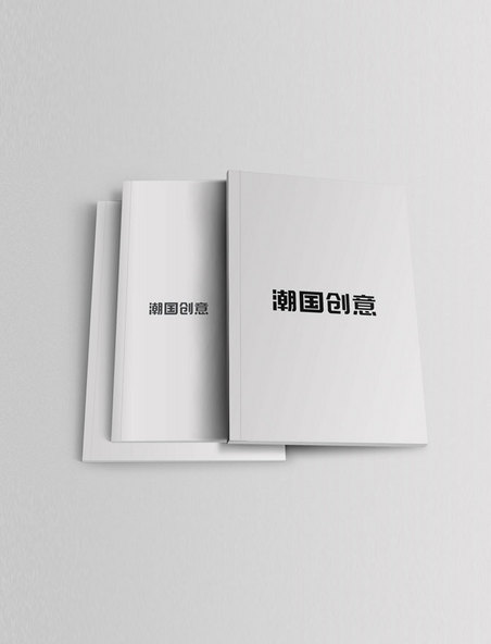 展开的杂志模板展示书籍白色简约logo样机