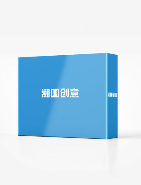 蓝色简约纸盒系列vi包装展示样机