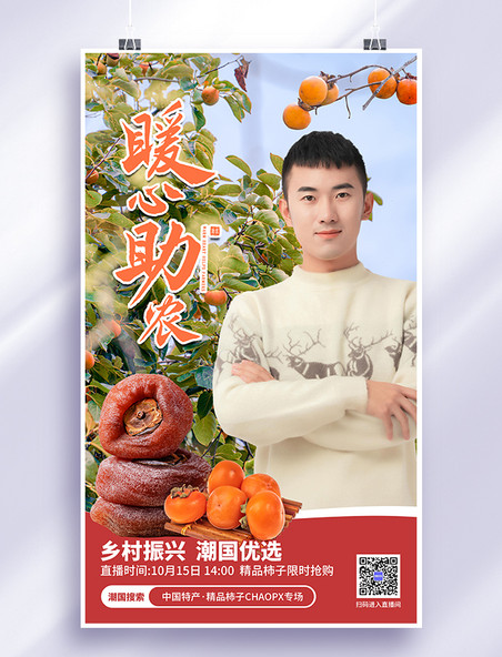 暖心助农公益直播水果农产品电商促销红色简约海报双十一双11