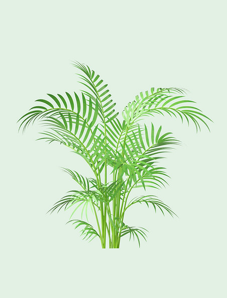 3D立体C4D绿色植物树叶叶子芭蕉