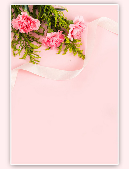 母亲节康乃馨粉色背景