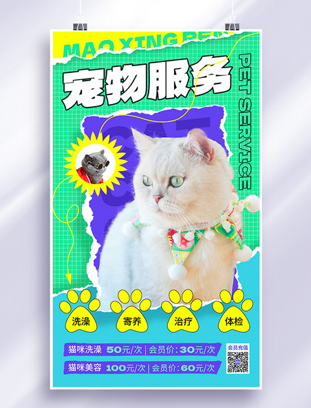 创意撕纸小清新宠物服务宠物项目宠物美容宠物医院促销打折宣传海报