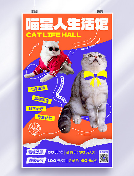 橙色蓝色喵星人生活馆宠物服务宠物项目活动宣传海报猫咖