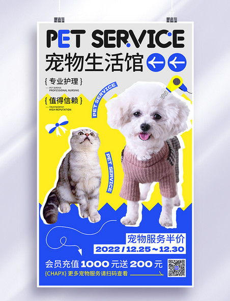 蓝色黄色灰色宠物生活馆宠物服务宠物项目打折宠物海报猫咖