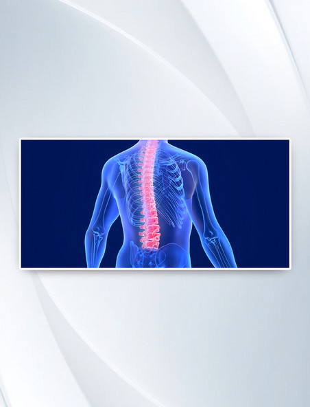 C4D医疗人体颈椎骨骼蓝色背景