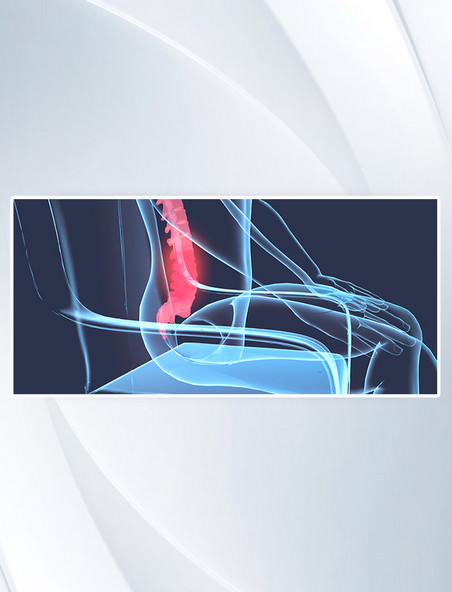 3D医疗脊椎腰痛医疗透视科学