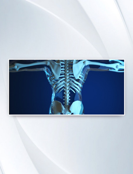 C4D科技医疗人体器官人体骨骼