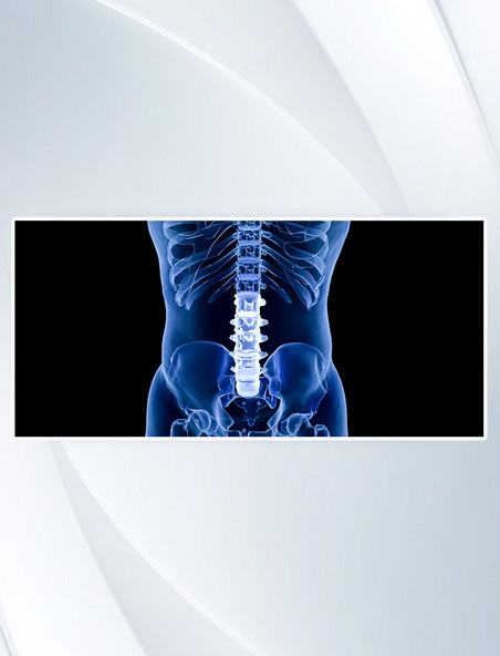 3D C4D 立体 建模 人体模型 蓝色创意医疗腰椎场景