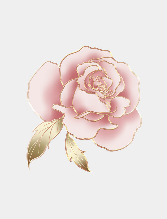 粉色玫瑰花立体浮雕花朵植物