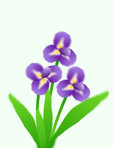 紫色春天弥散风鸢尾花