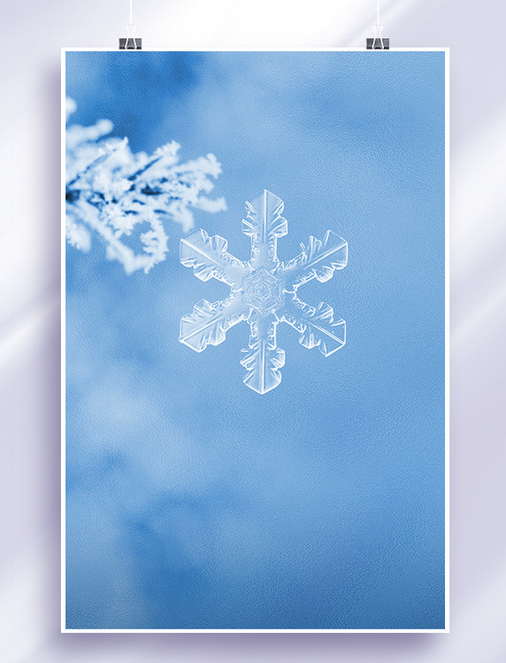 二十四节气传统节气冬季冬至寒冷雪花冬至雪花蓝色