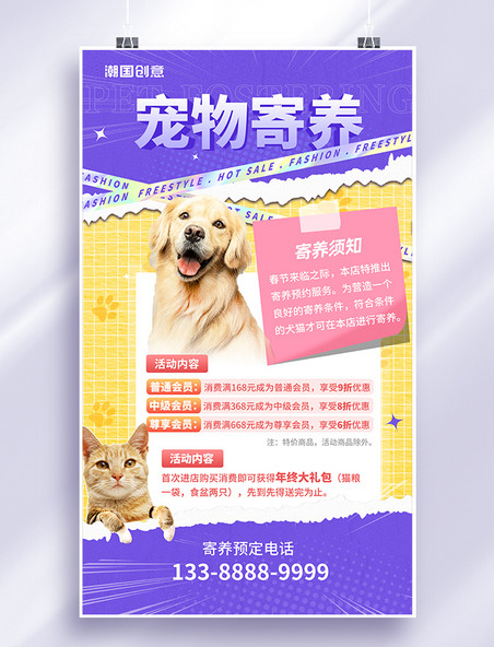 紫黄色撕纸风春节宠物寄养团购海报