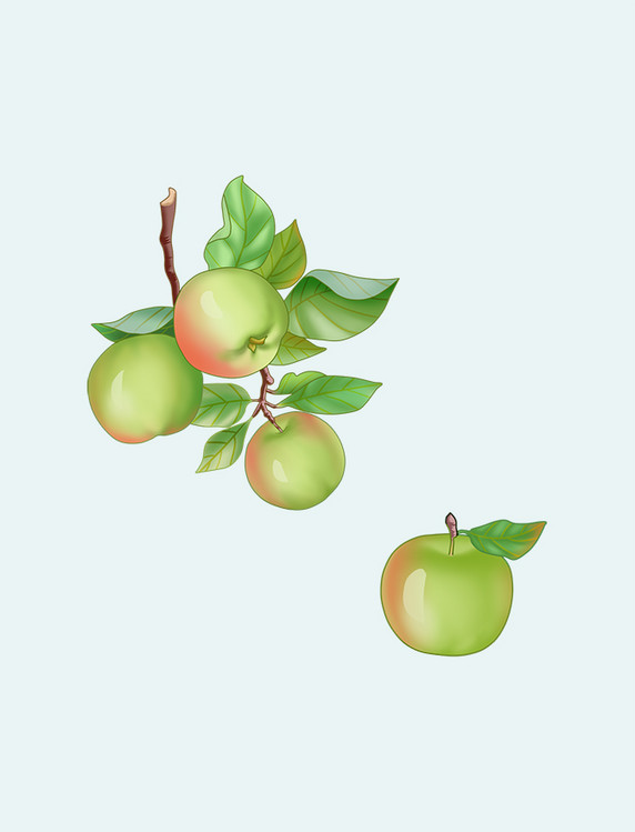 手绘插画农产品果树果实苹果