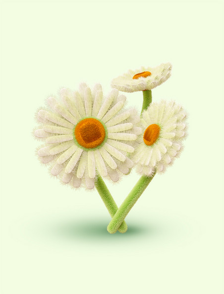 3D立体C4D春天春季毛绒花朵小雏菊