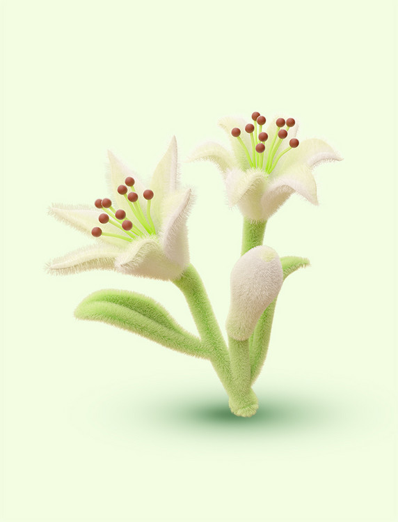 3D立体C4D春天春季毛绒花朵百合花