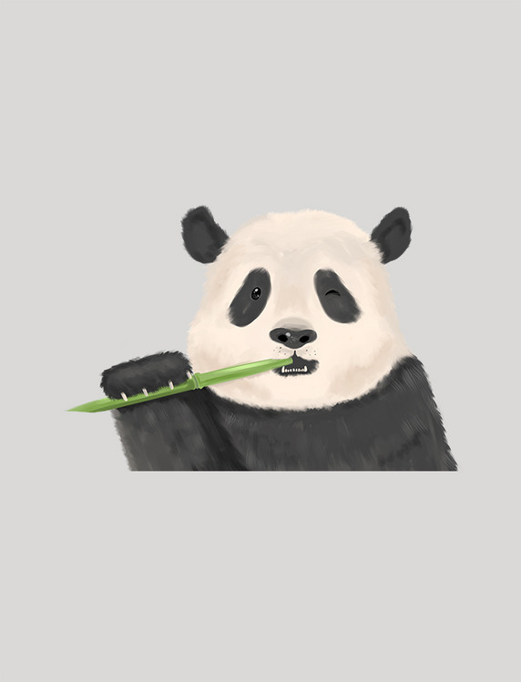 国宝熊猫手绘插画元素国宝