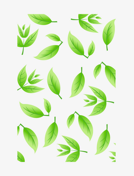 清新绿色茶叶底纹叶子绿叶