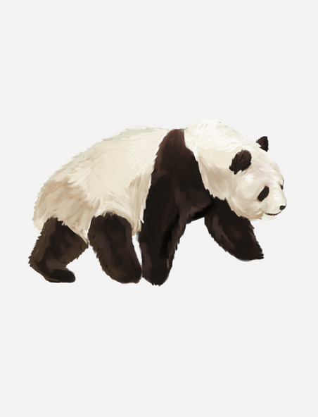 仿真大熊猫动物行走元素