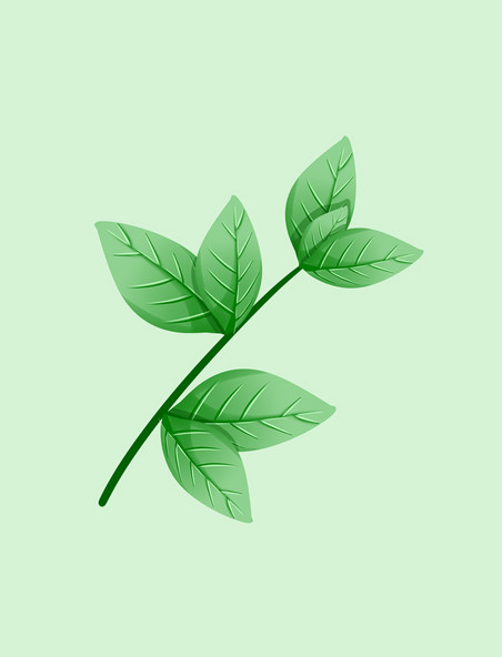 手绘茶叶绿色植物叶子
