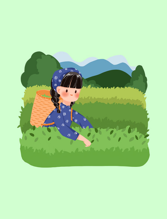 农家女茶山中的采茶女