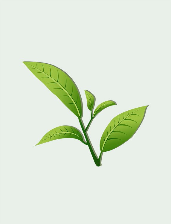绿色的茶叶手绘元素