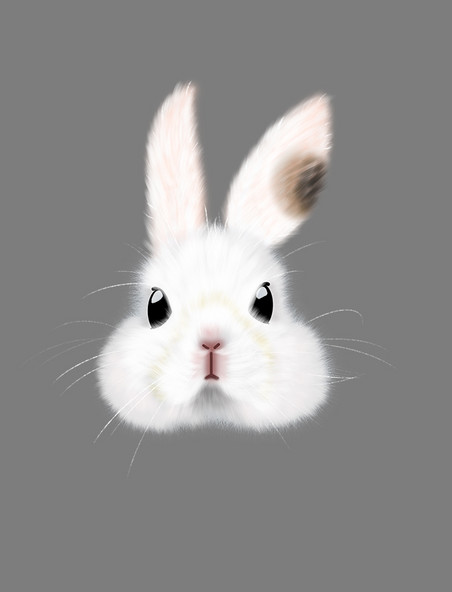 手绘白色兔子动物立体头像