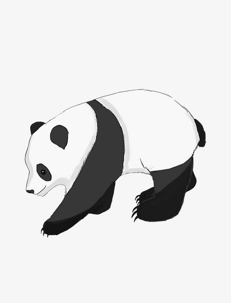 卡通手绘国宝动物大熊猫国宝