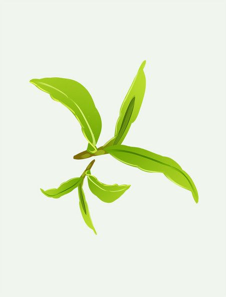 绿叶茶文化嫩芽手绘元素