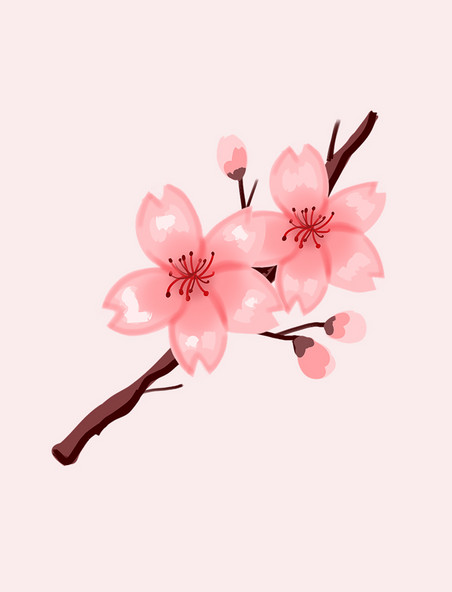 春天唯美粉色樱花