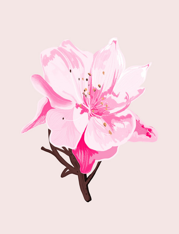 樱花邮票图片素材