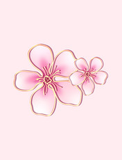 春季情人节妇女节女王节粉色花朵浮雕桃