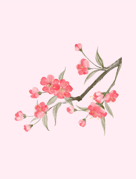 中国风水彩花卉粉色清新唯美