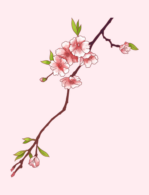 古风春季水墨水彩植物桃花花枝