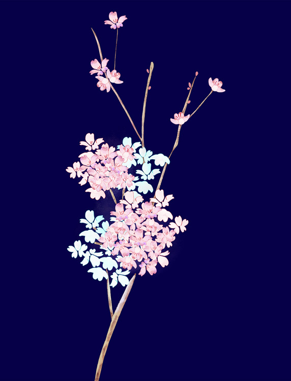 粉色樱花树枝花朵