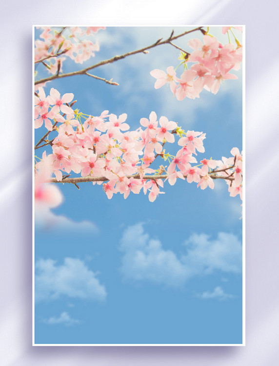 樱花海报花朵蓝天背景春天春天赏樱
