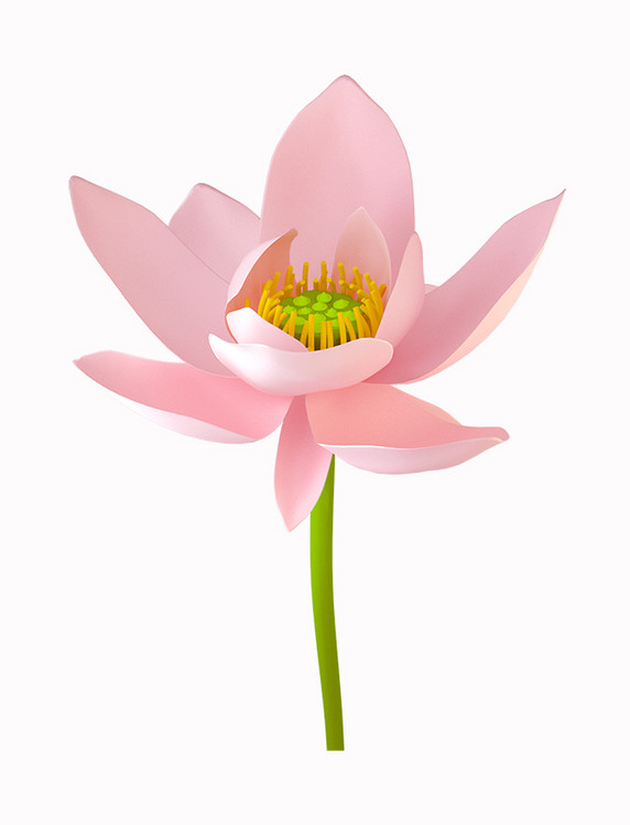 立体3D粉色荷花花朵