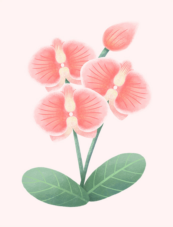 粉色蝴蝶兰植物元素