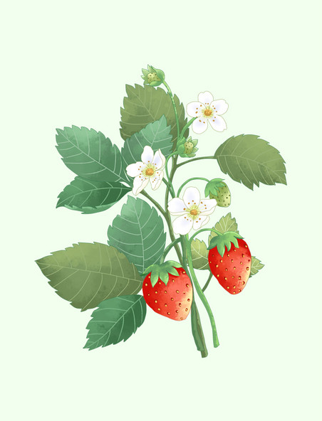 新鲜采摘草莓元素