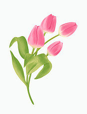 小清新粉色郁金香花朵边框装饰底纹