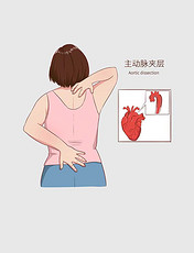 常见医疗人物疾病图例主动脉夹层