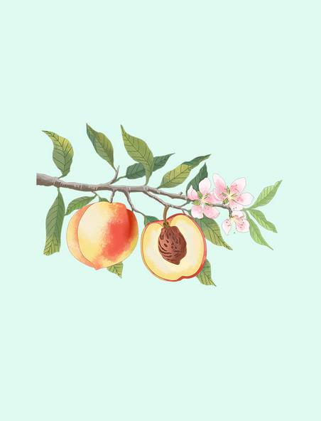 手绘新鲜水果水蜜桃桃树