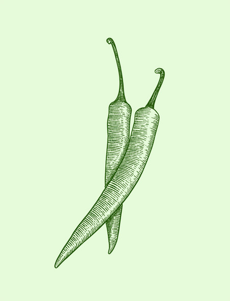 绿色线描蔬菜辣椒