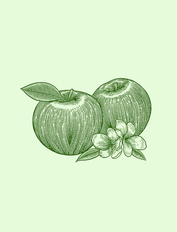 绿色线描线稿水果苹果花朵