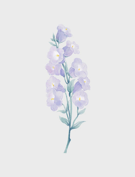 春天水彩鲜花紫风铃