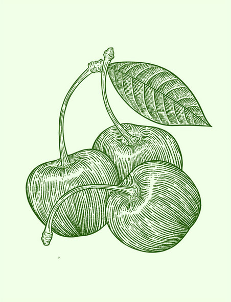 铜版画绿色线描线稿水果樱桃车厘子元素