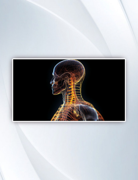 科技医疗X光骨骼人体健康背景