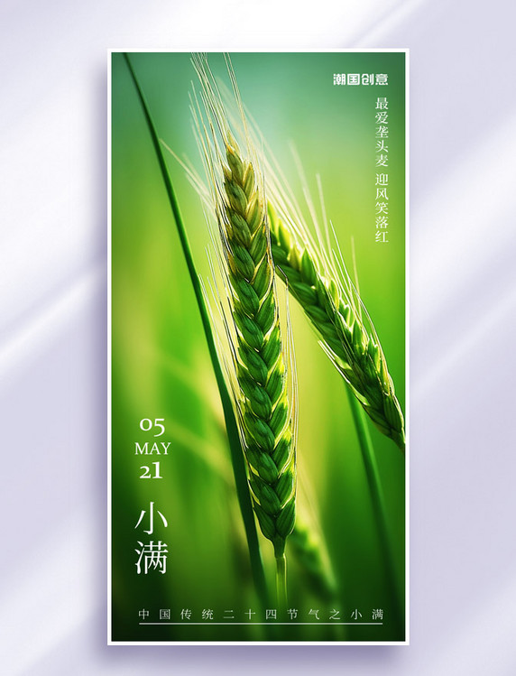 绿色麦穗麦子二十四节气小满节气海报