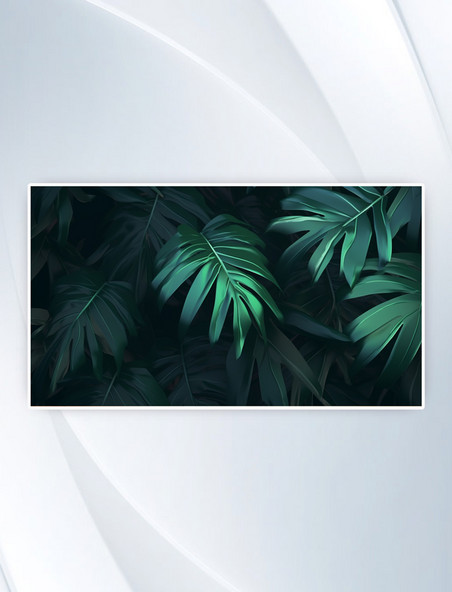 绿色热带植物叶子树叶背景