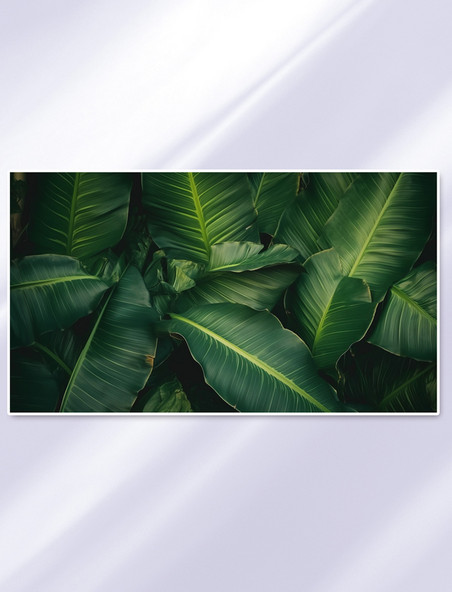 绿色热带植物叶子背景AI绘画