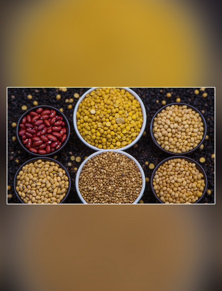 摄影图黄豆大豆粮食农作物谷物超级清晰高细节食物